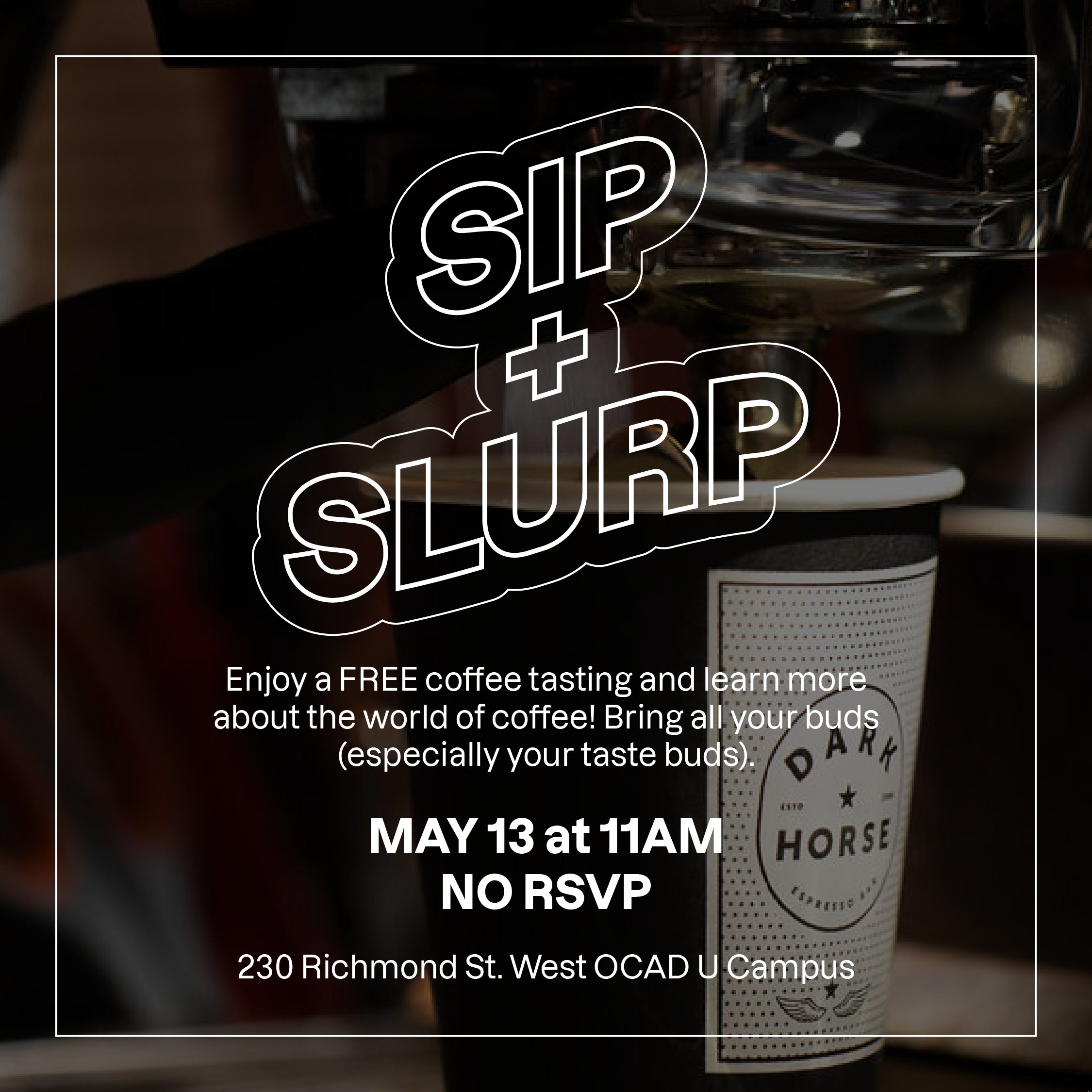 Dark Horse Espresso Bar