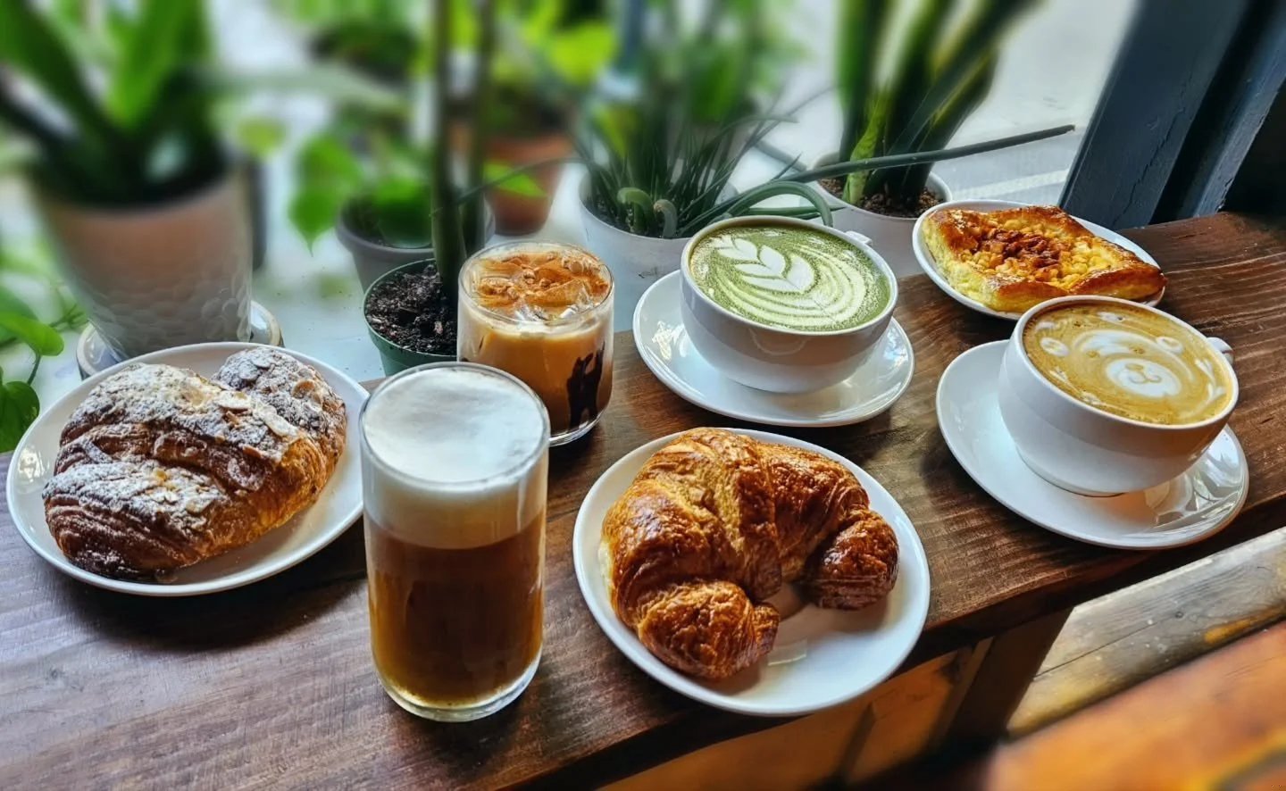 Drip Drop Cafe, coffee shop